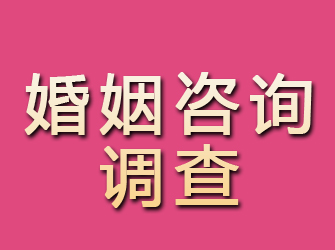 济宁婚姻咨询调查